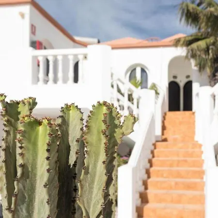 Livvo Galera 코라레호