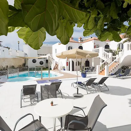 Livvo Galera 코라레호